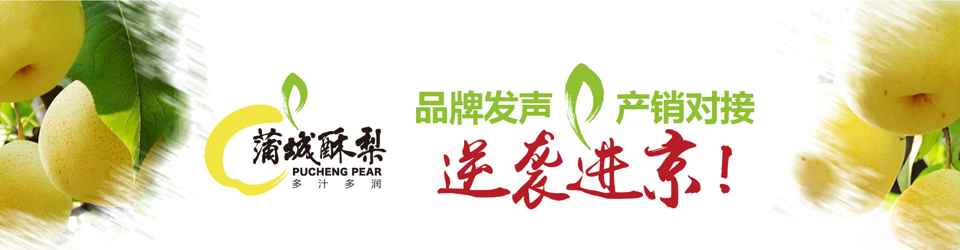 戰(zhàn)略賦能區(qū)域公用品牌，點(diǎn)亮區(qū)域經(jīng)濟(jì)