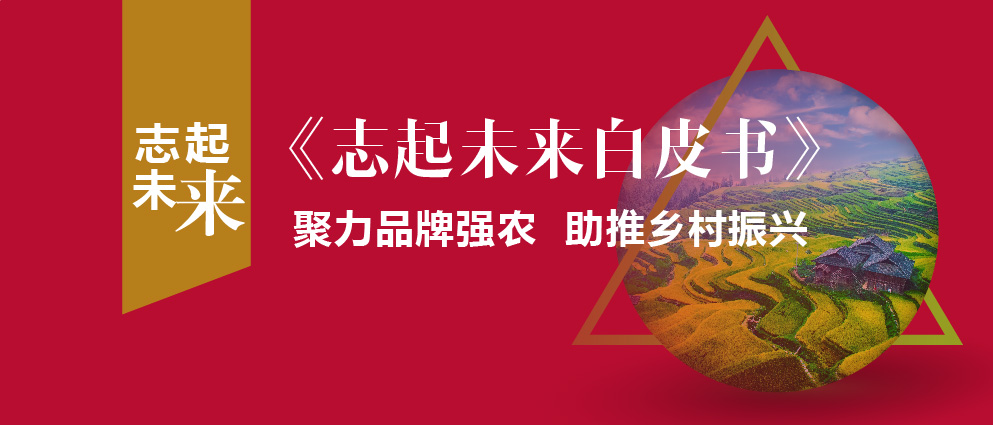 蔚州田園綜合體項(xiàng)目服務(wù)手記 ——深度剖析中國首個童年文明主題田園綜合體