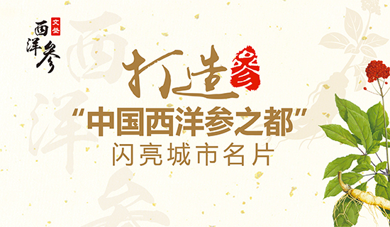 文登西洋參產(chǎn)業(yè)：打造“中國西洋參之都”閃亮城市名片！